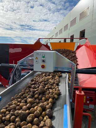 Завод по производству чипсов и сухариков