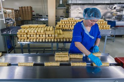 Продукция завода