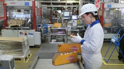 Производство сухих и влажных кормов для домашних питомцев